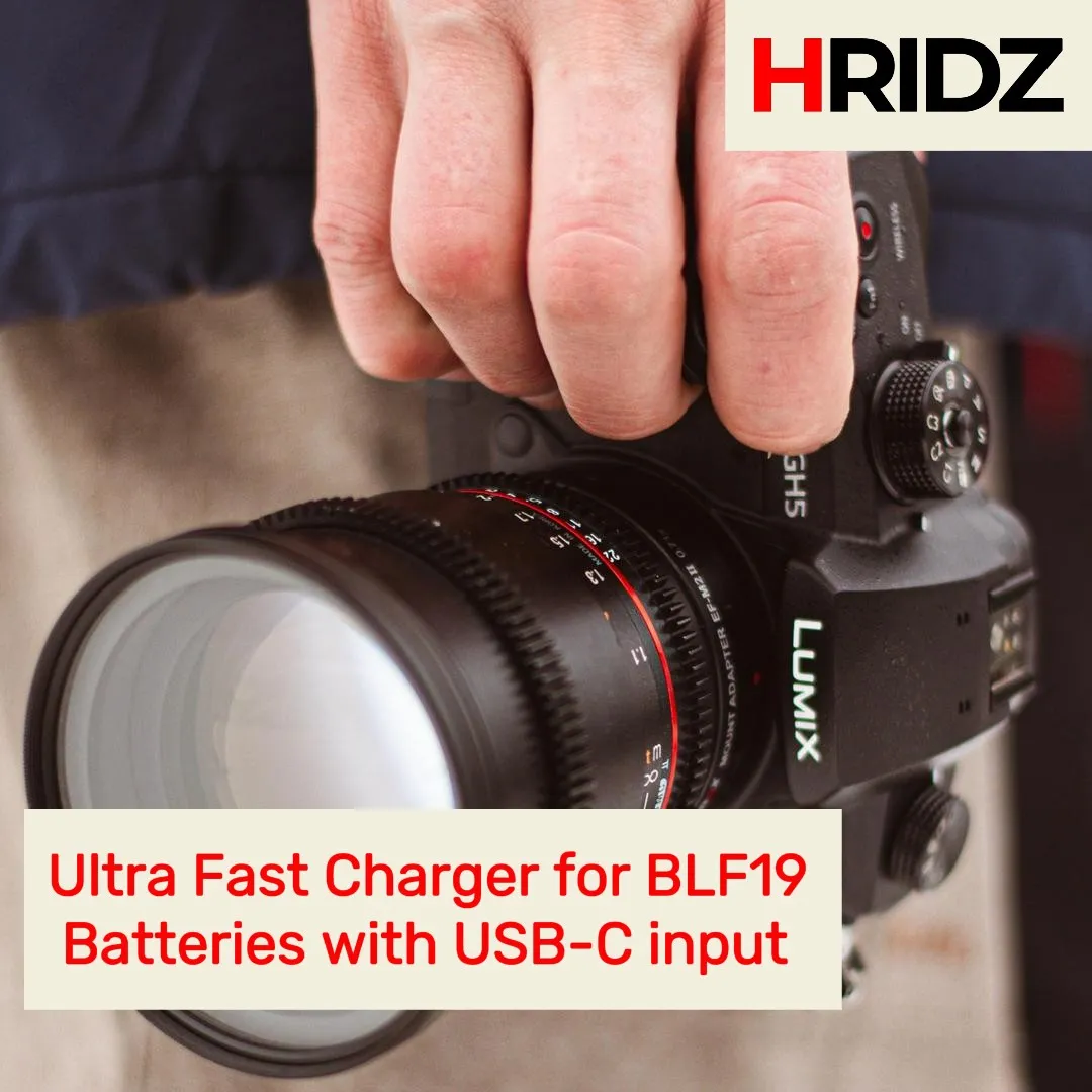 Hridz BLF19 Dual Charger for Panasonic DMW-BLF19 G9 GH5s GH5 GH4 GH3 Battery