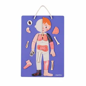 Magnetic Pad Human Anatomy