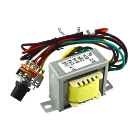 Multi-Tap 70V/100V Transformer (ODP-HTRAN-30)