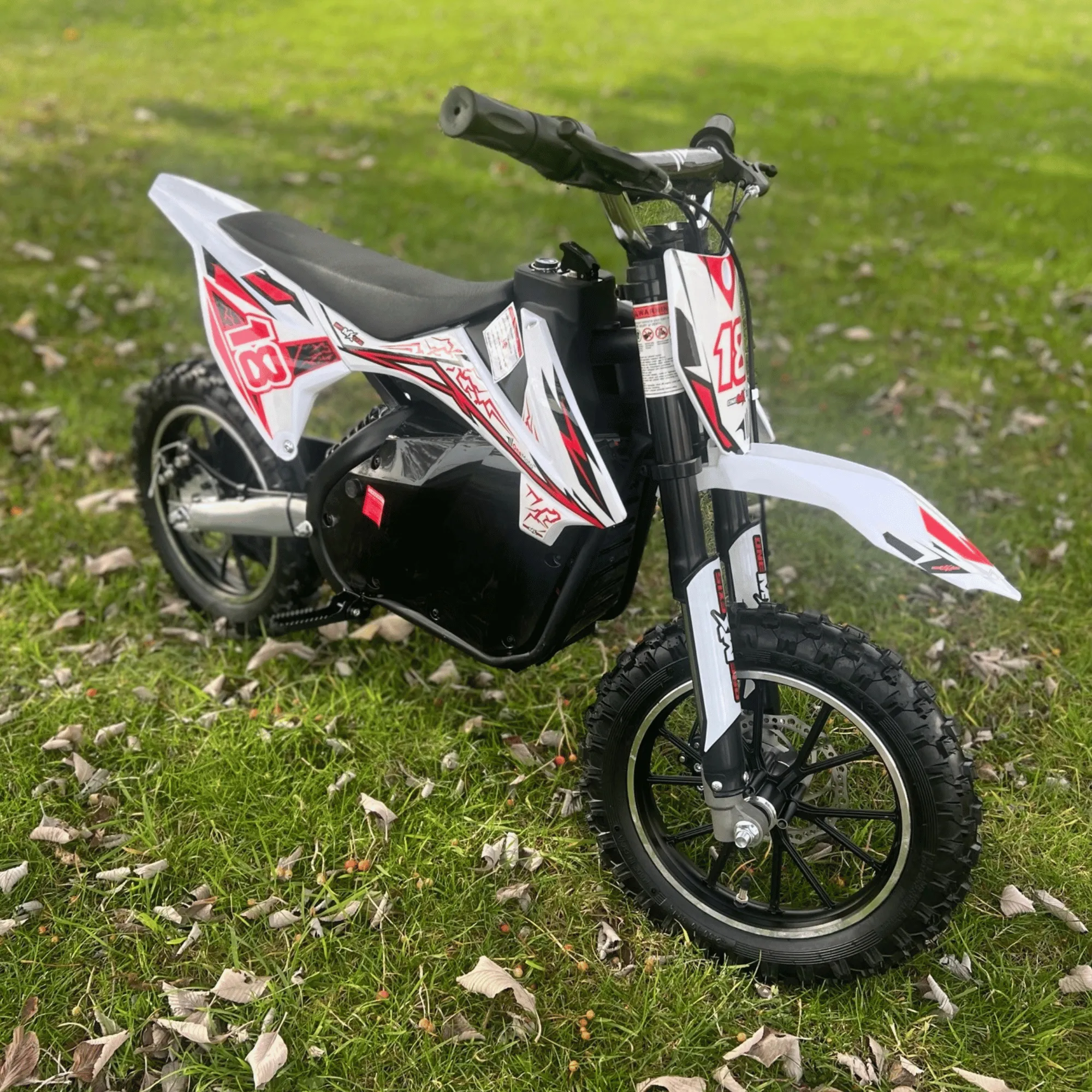 OneMX™ | EX1S | 36V Lithium | 500W | Dirt Bike