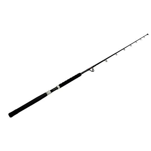 Wright and McGill Casting Boat Rod - 6' Length, 1 Piece Rod, Heavy Power, Fast Action